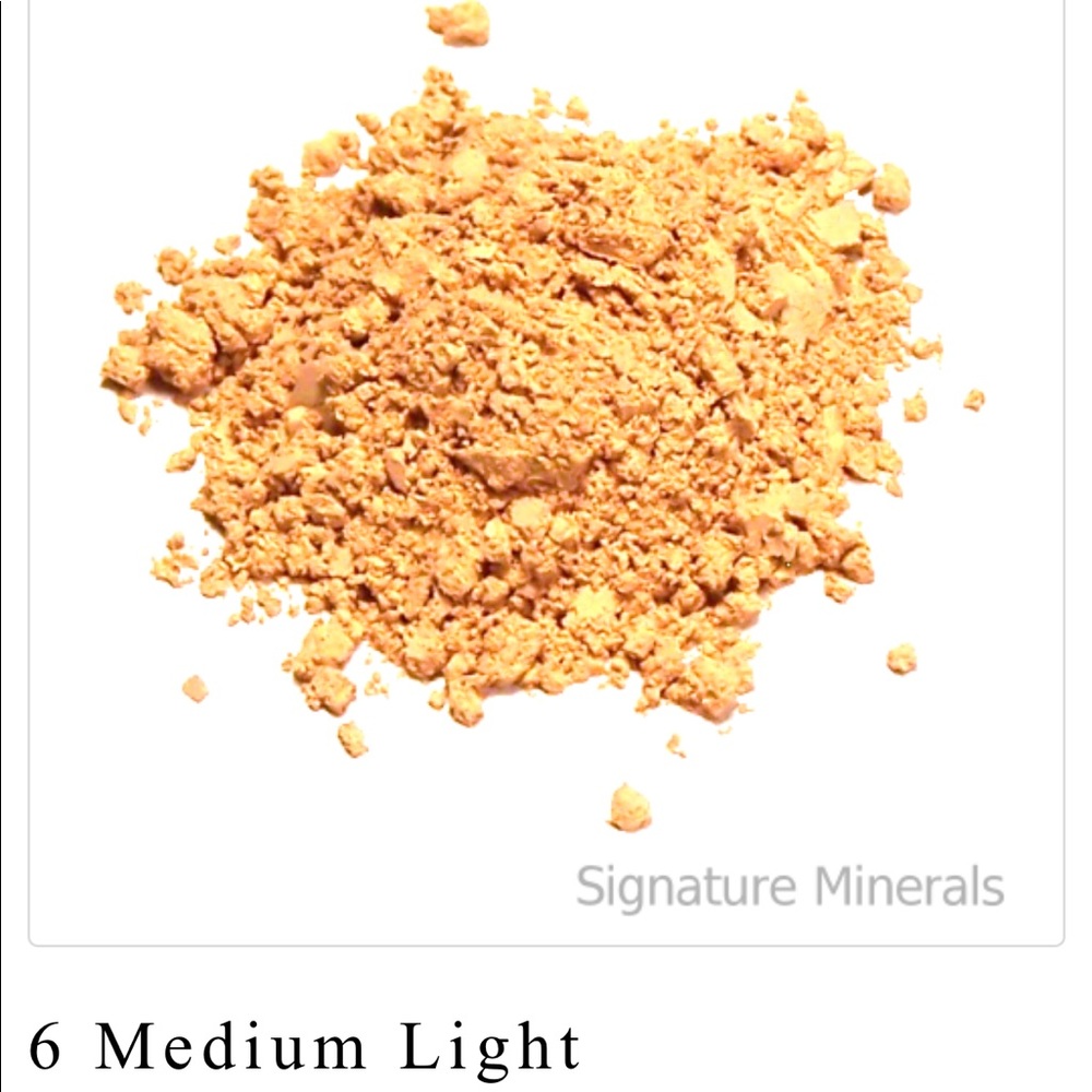 Signature Minerals Makeup Powder Foundation